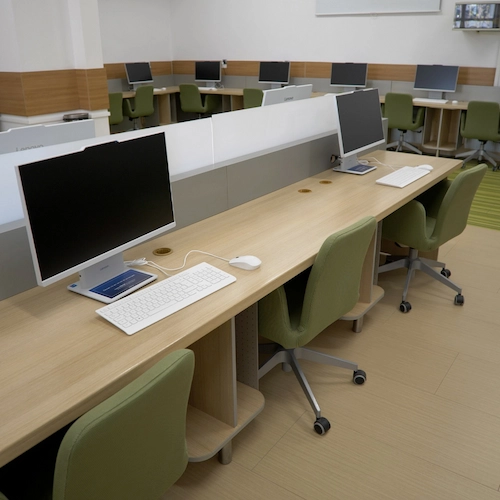 Fundația TEILOR susține viitorul universitar din Pitești