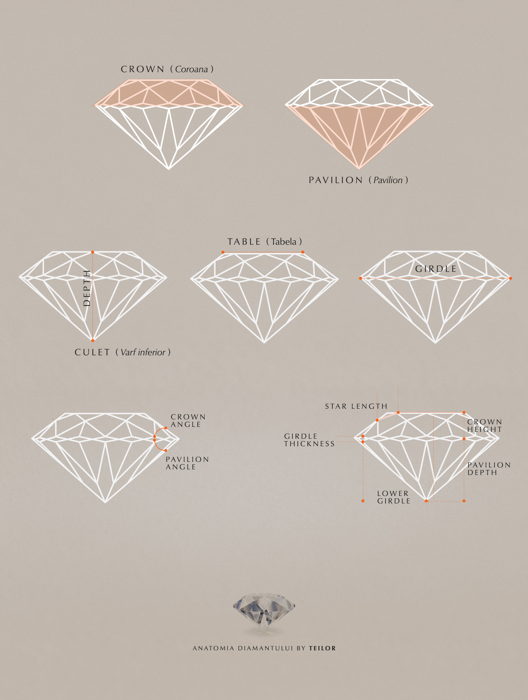 anatomia diamantului - TEILOR